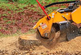 Best Seasonal Cleanup (Spring/Fall)  in Live Oak, CA